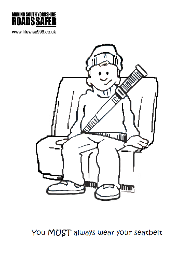 Seatbelts activity